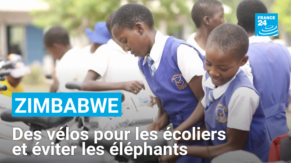 Au Zimbabwe, des vélos offerts pour éviter les éléphants sur le chemin de l’école - 2024